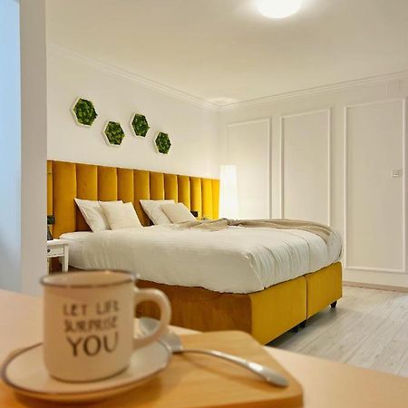 Studio 118 - A Luxury Place,10Min Walk To City Center 티미쇼아라 외부 사진