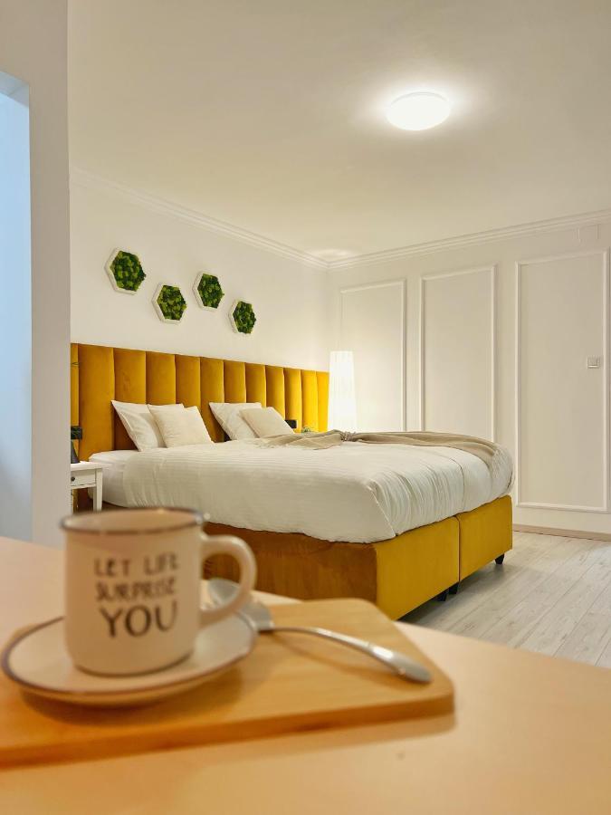 Studio 118 - A Luxury Place,10Min Walk To City Center 티미쇼아라 외부 사진