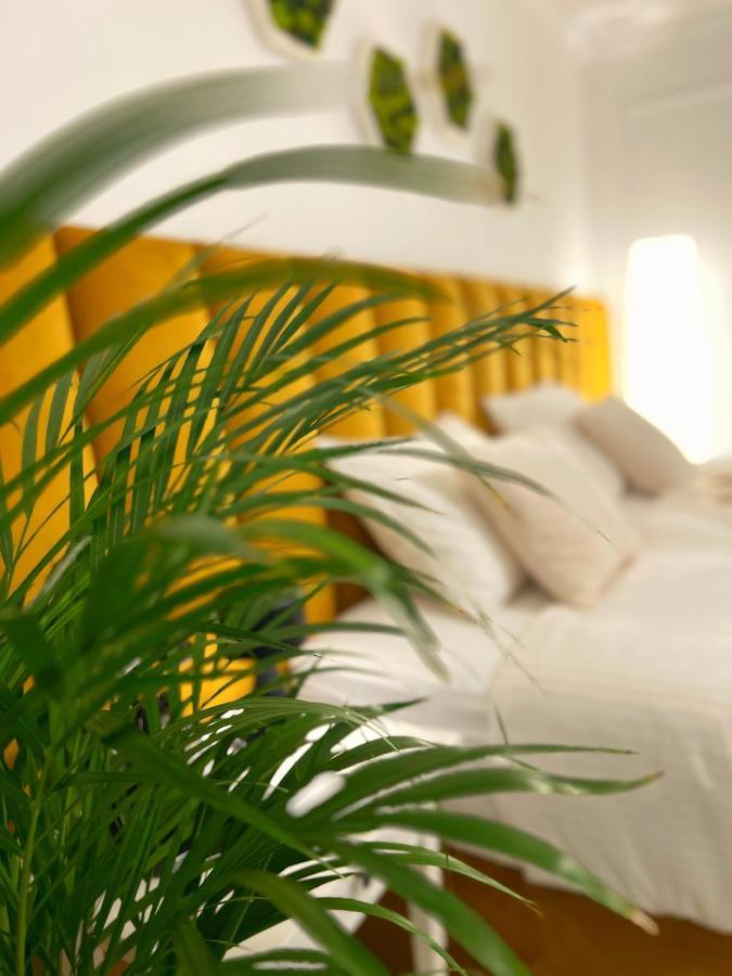 Studio 118 - A Luxury Place,10Min Walk To City Center 티미쇼아라 외부 사진