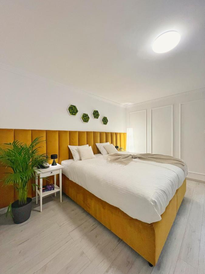Studio 118 - A Luxury Place,10Min Walk To City Center 티미쇼아라 외부 사진