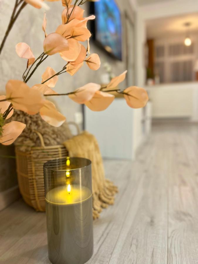 Studio 118 - A Luxury Place,10Min Walk To City Center 티미쇼아라 외부 사진